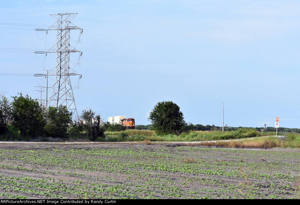 BNSF 4323 South